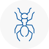 Ant Removals In Bishops Hatfield