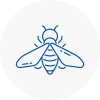 Bee Nest Removal Bishops Hatfield