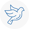 Bird Prevention Bishops Hatfield