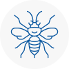 Bishops Hatfield Hornet Nest Removals