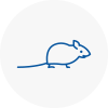 Mice Exterminators In Bishops Hatfield