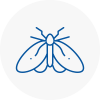 Moth Control Specialists In Bishops Hatfield