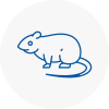 Rat Control Bishops Hatfield