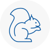 Bishops Hatfield Rodent Removals