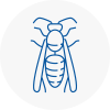 Bishops Hatfield Wasp Nest Removal